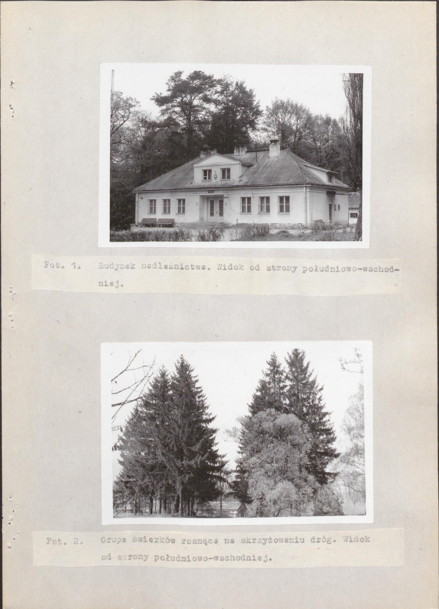 Ewidencja parkowa, skan nr 65