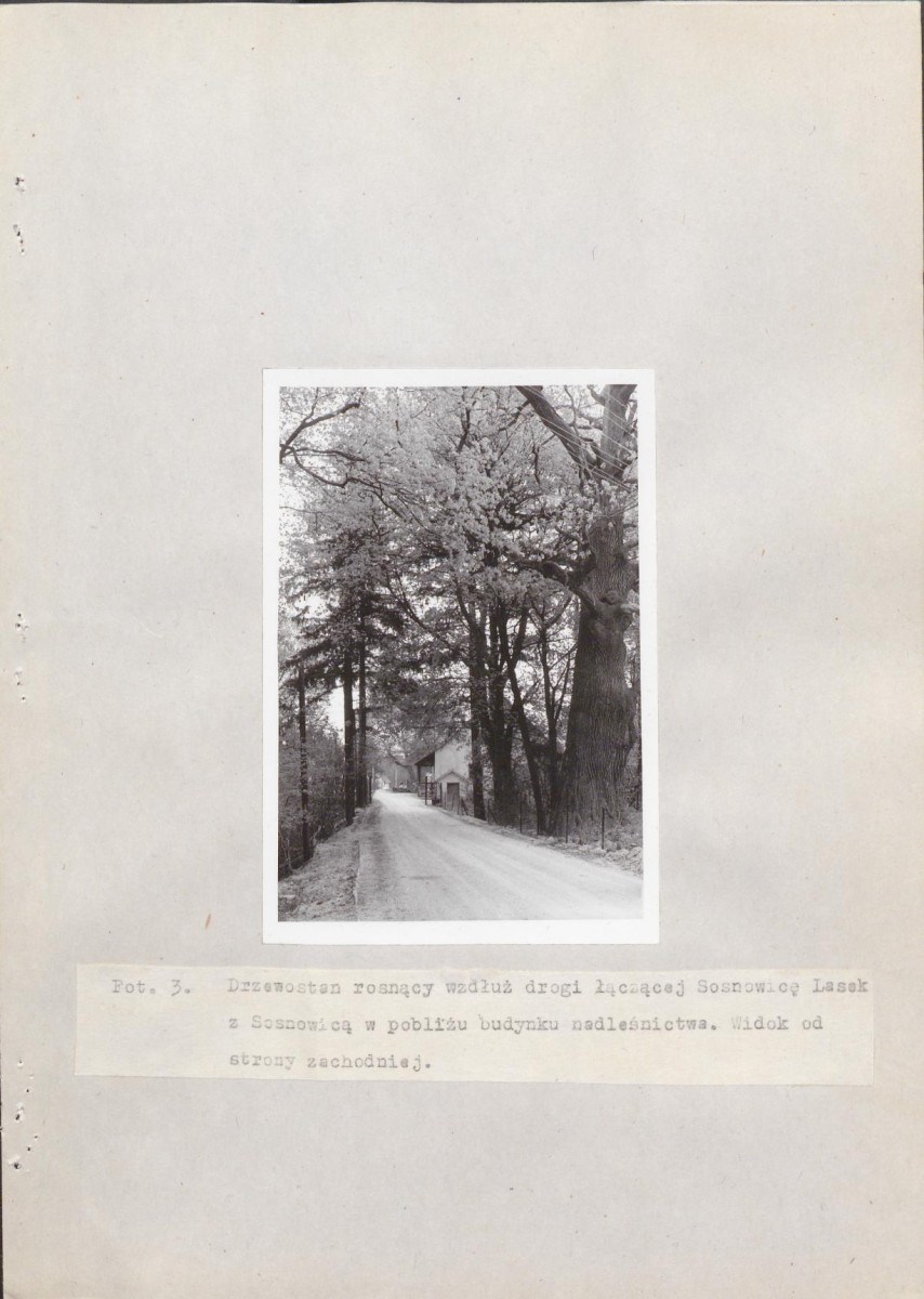 Ewidencja parkowa, skan nr 66