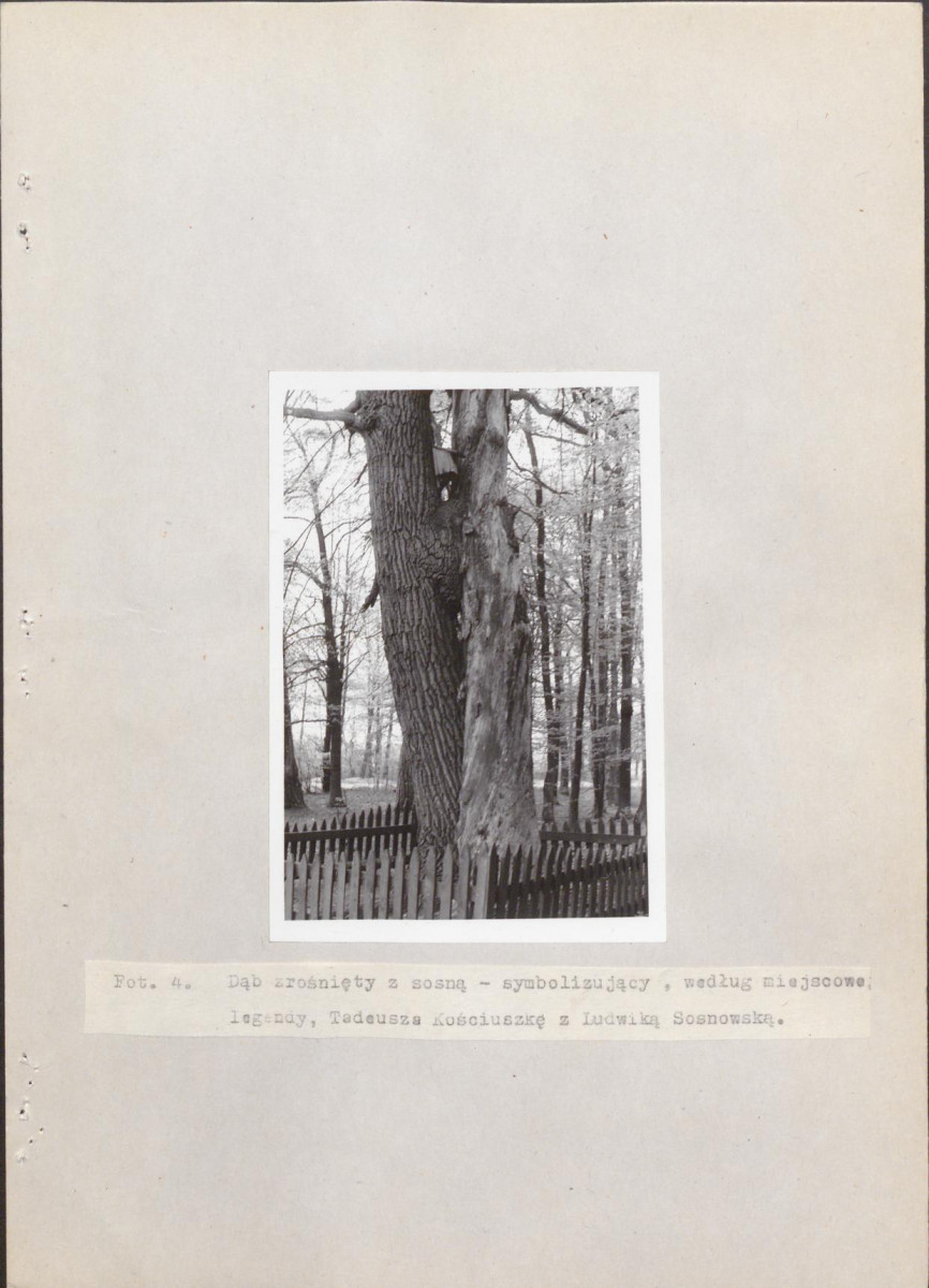 Ewidencja parkowa, skan nr 67