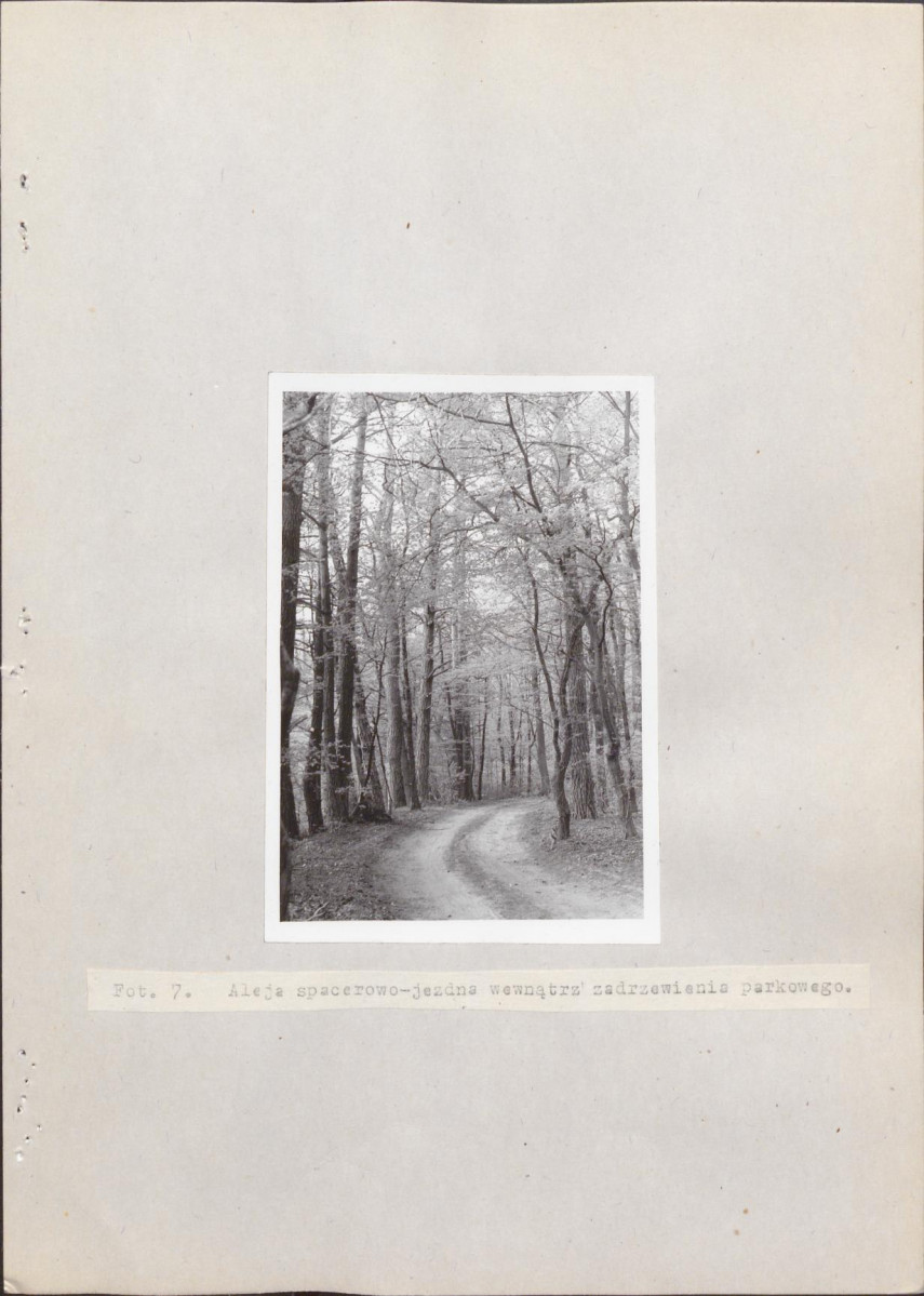 Ewidencja parkowa, skan nr 69