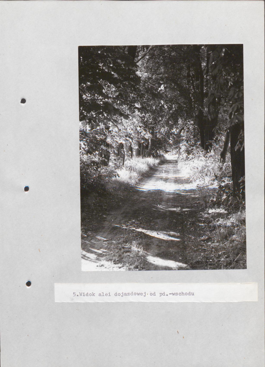 Ewidencja parkowa, skan nr 28