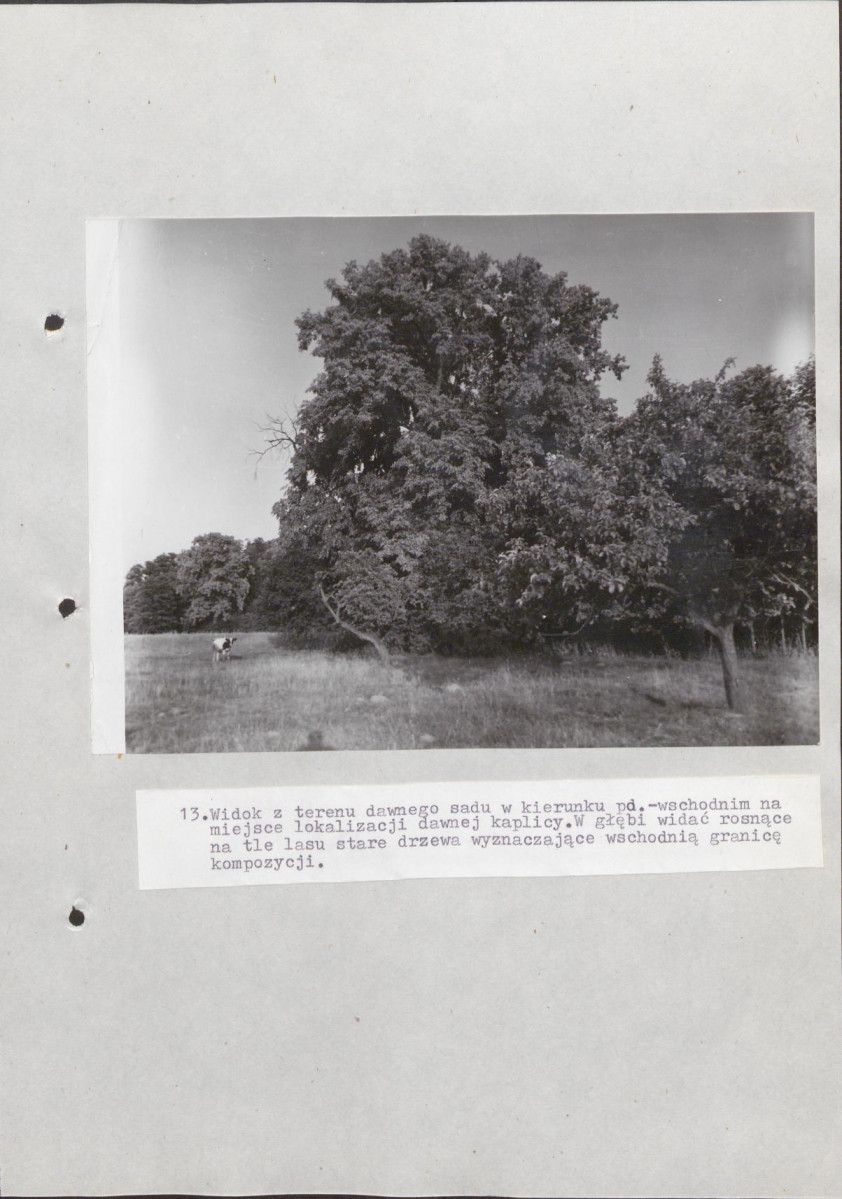 Ewidencja parkowa, skan nr 36