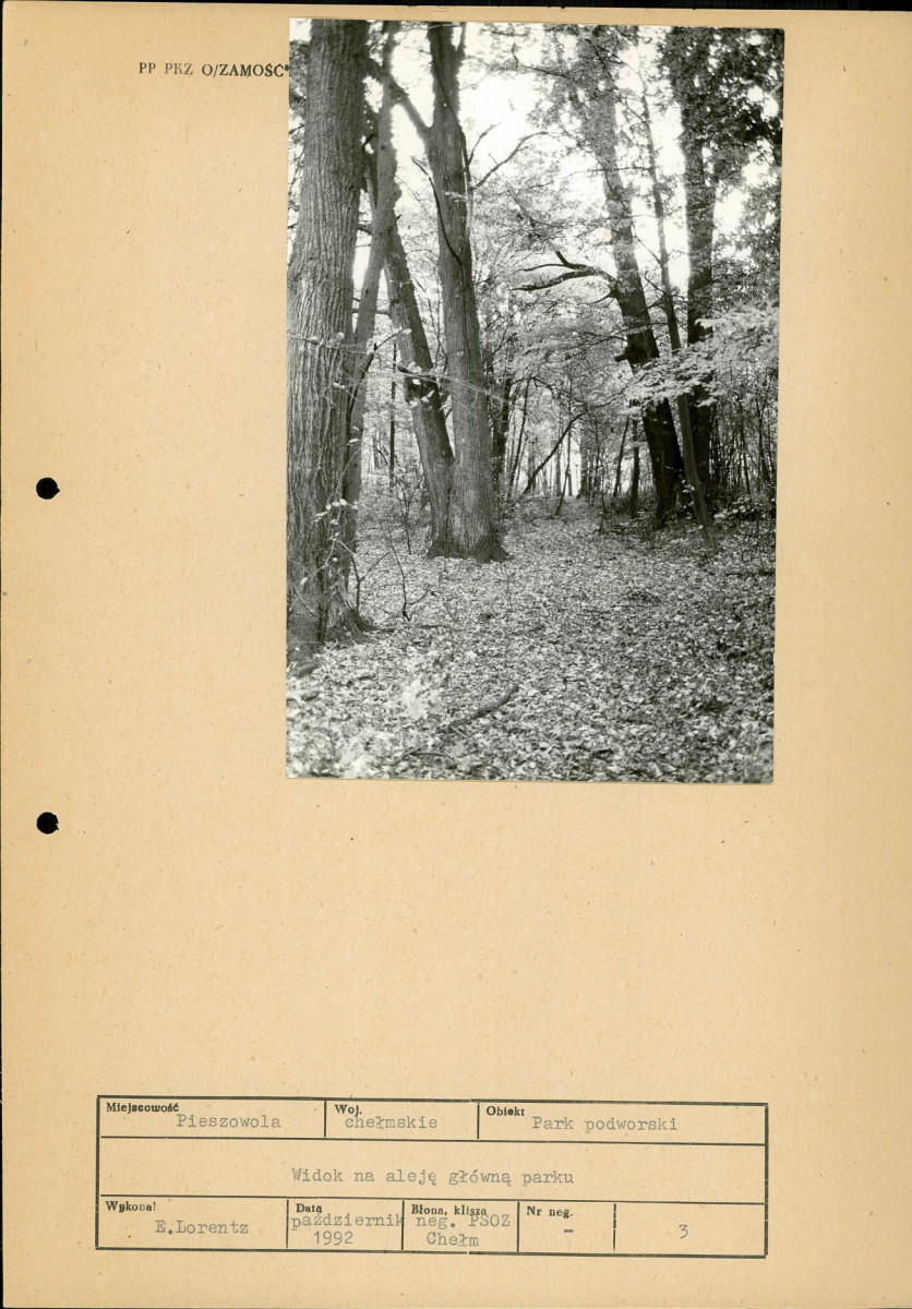 Ewidencja parkowa, skan nr 31