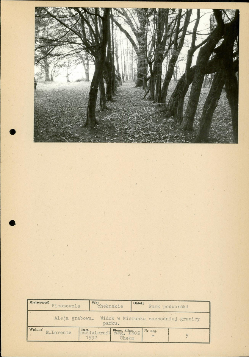 Ewidencja parkowa, skan nr 33