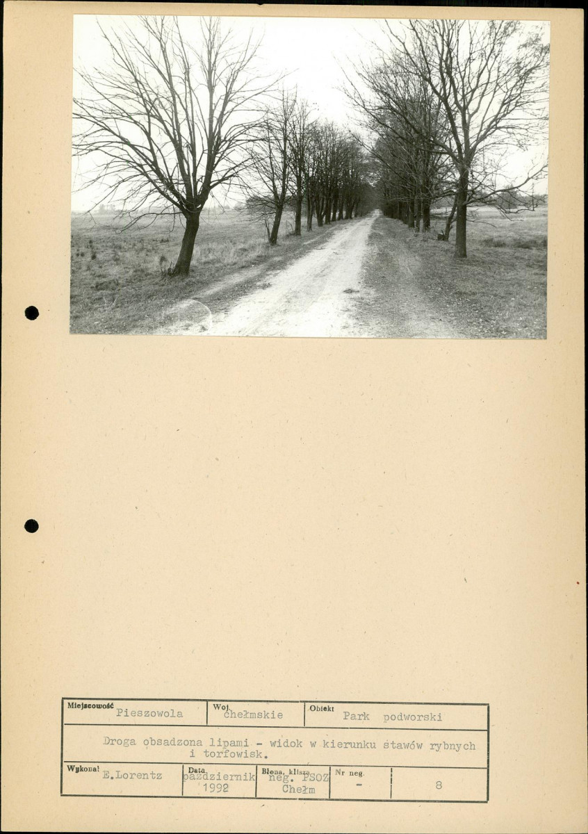 Ewidencja parkowa, skan nr 36