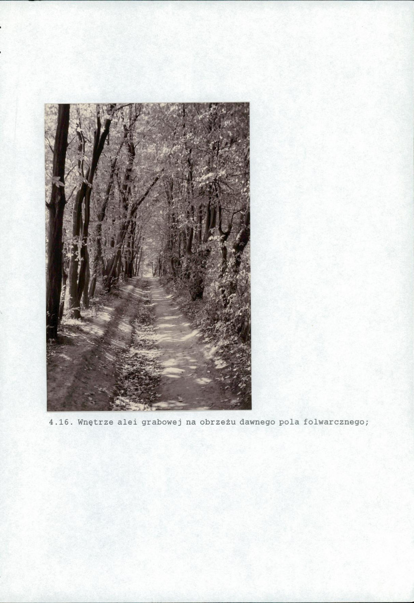 EP - Ewidencja parkowa, skan nr 48
