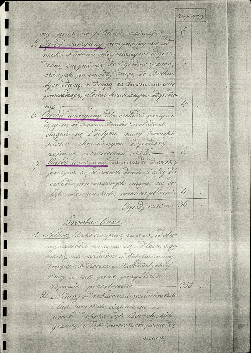 EP - Ewidencja parkowa, skan nr 53