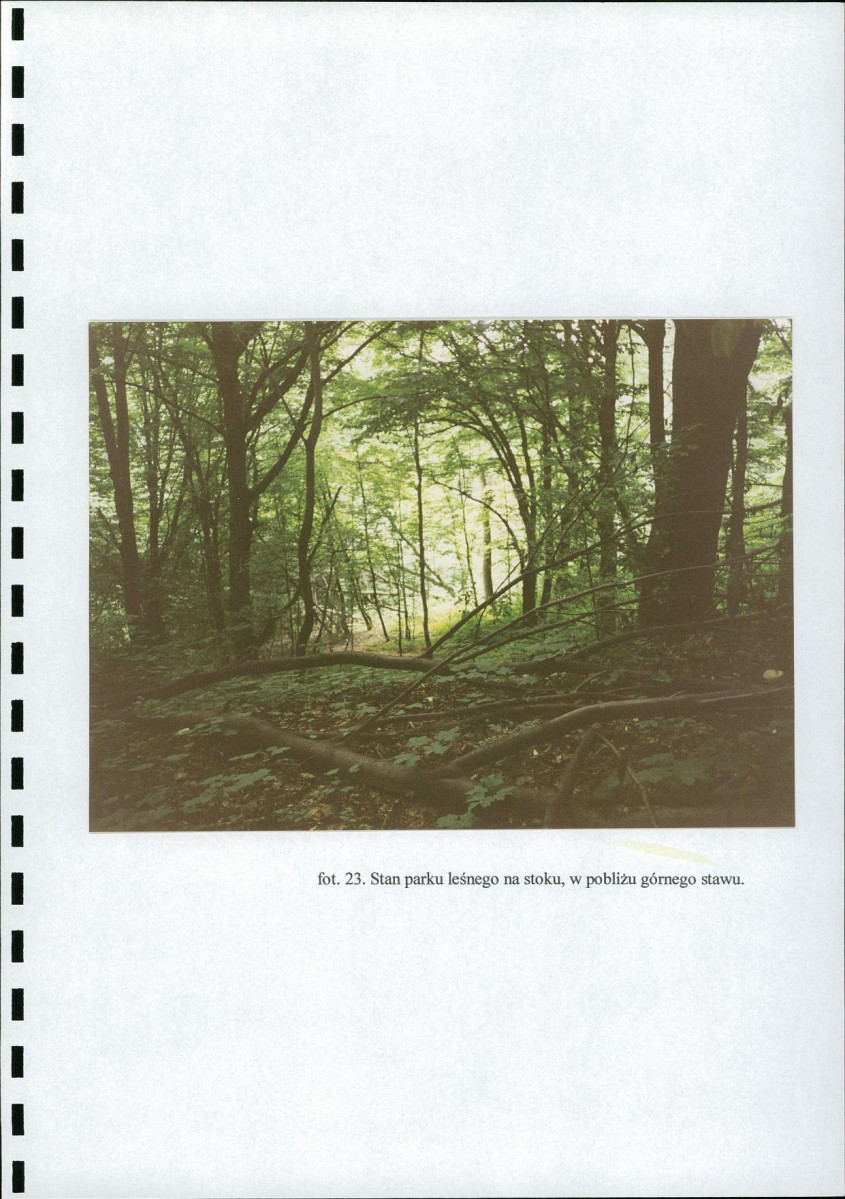 EP - Ewidencja parkowa, skan nr 41