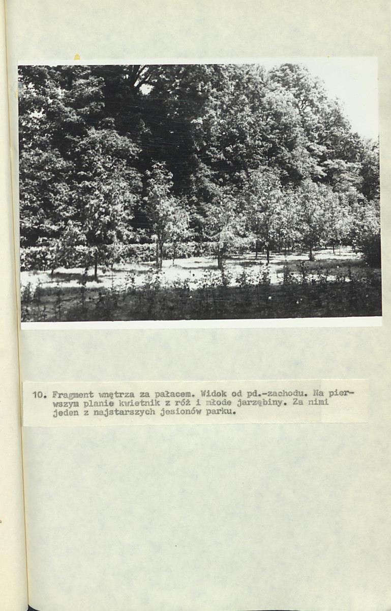 EP - Ewidencja parkowa, skan nr 58