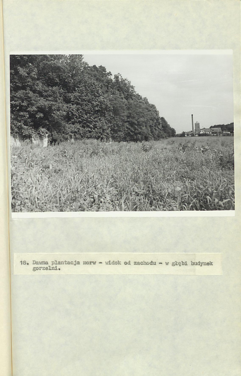 EP - Ewidencja parkowa, skan nr 66
