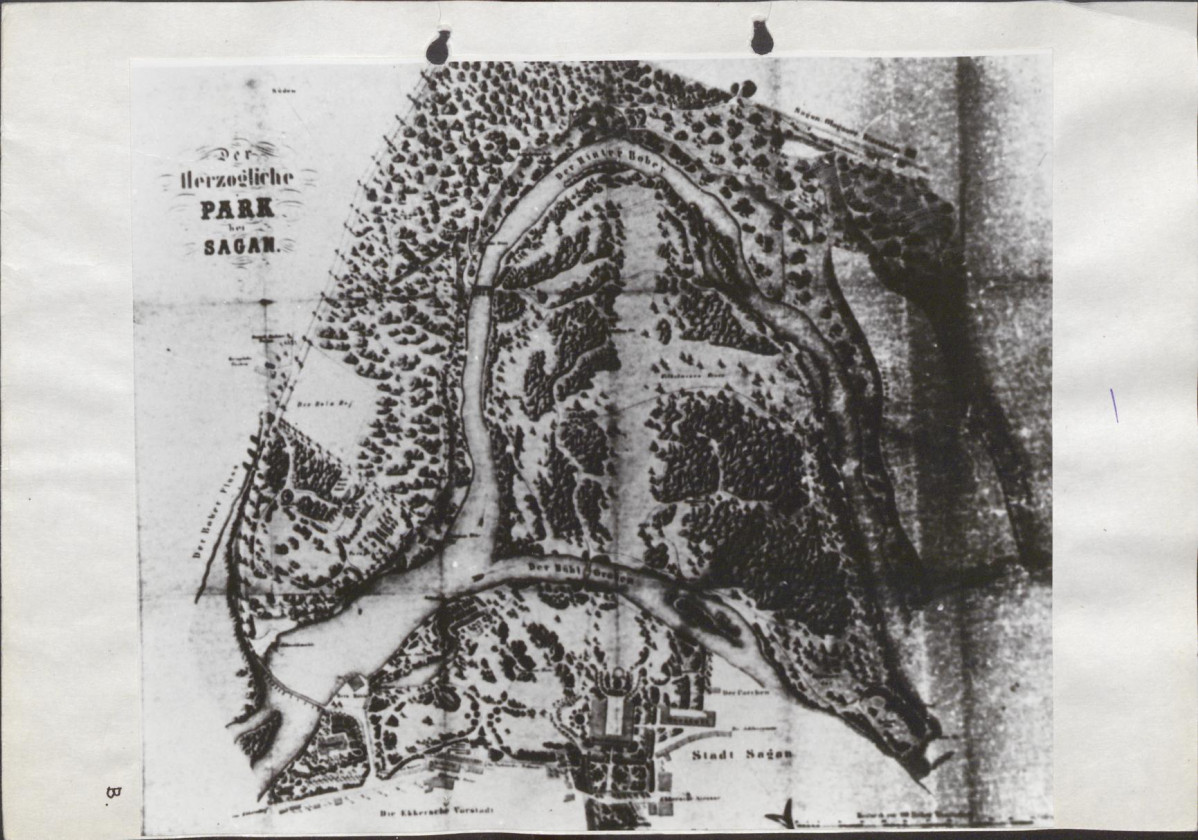 Ewidencja parkowa, skan nr 29