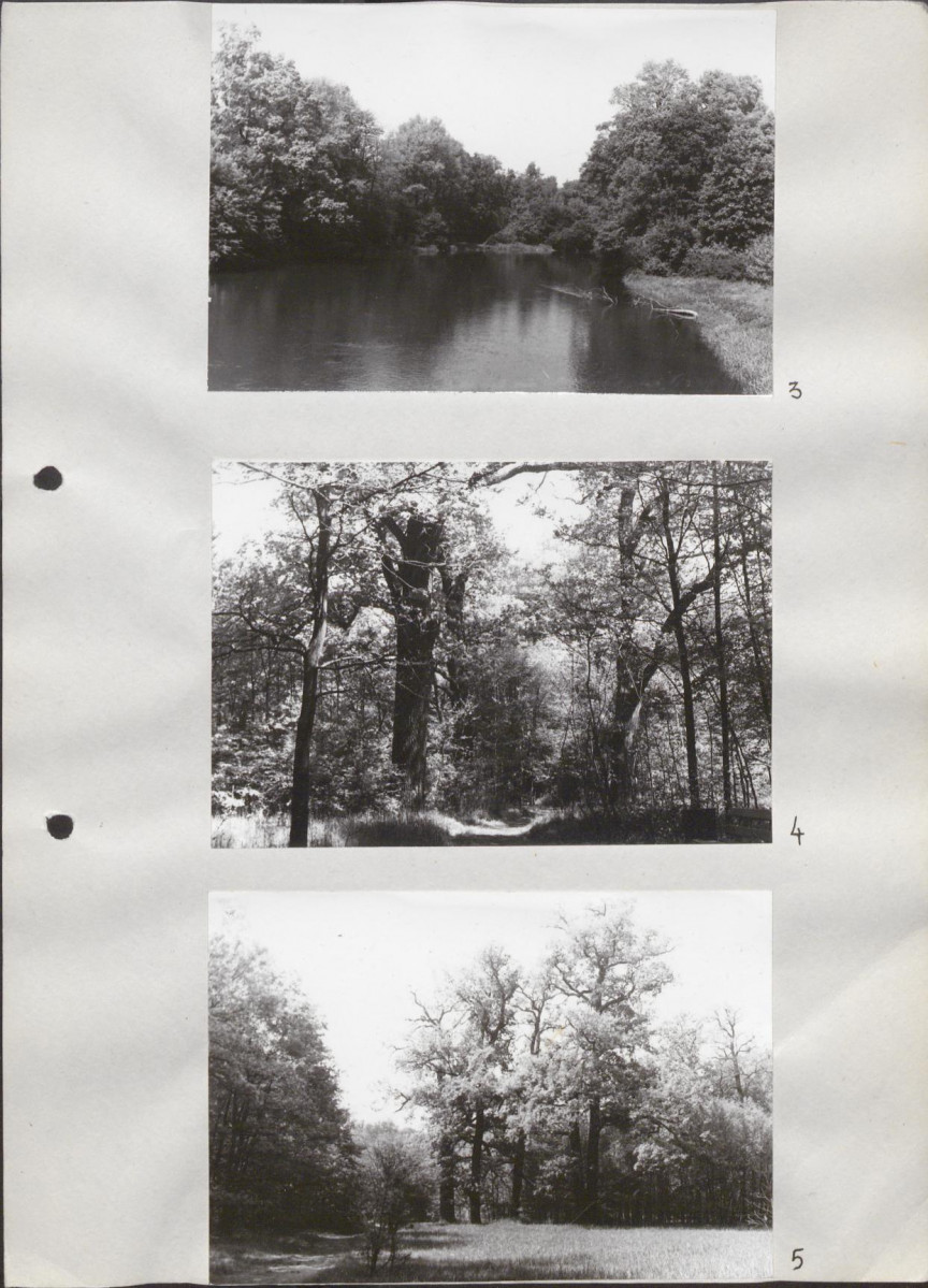 Ewidencja parkowa, skan nr 31