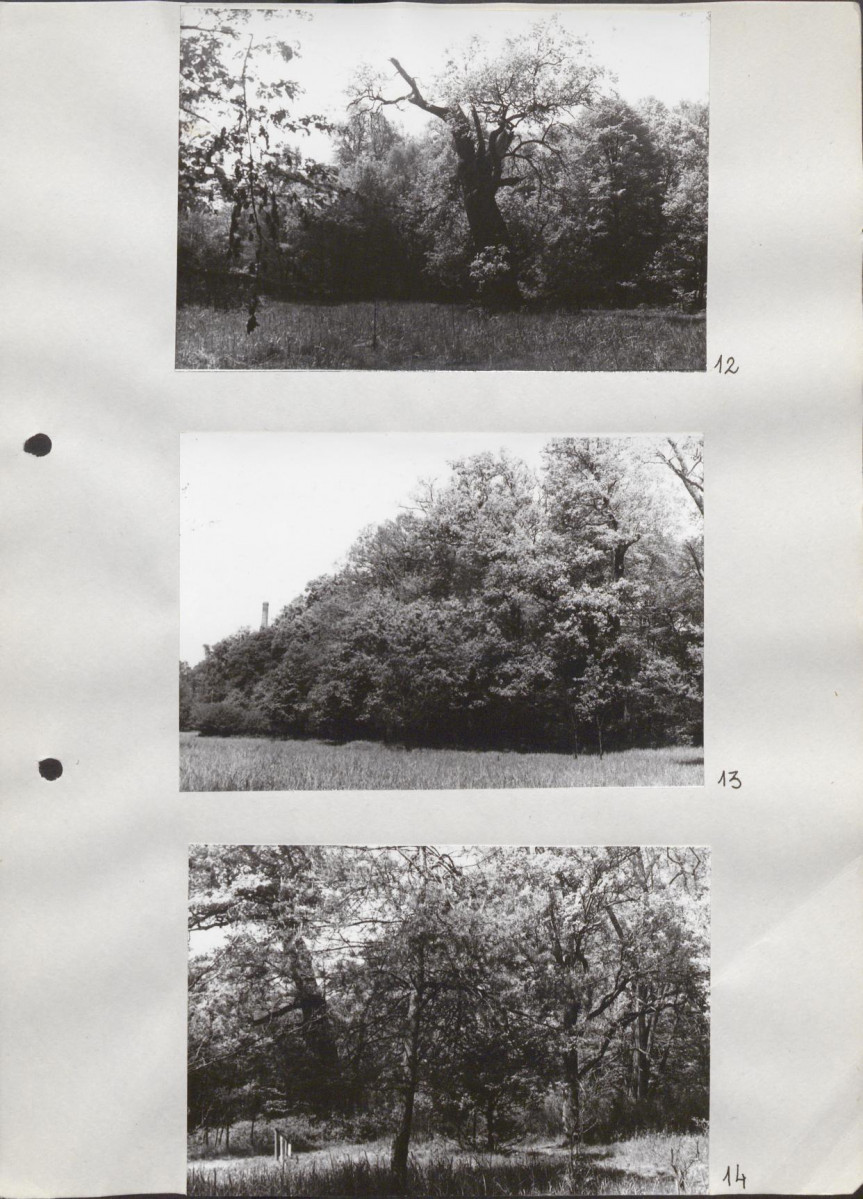 Ewidencja parkowa, skan nr 34