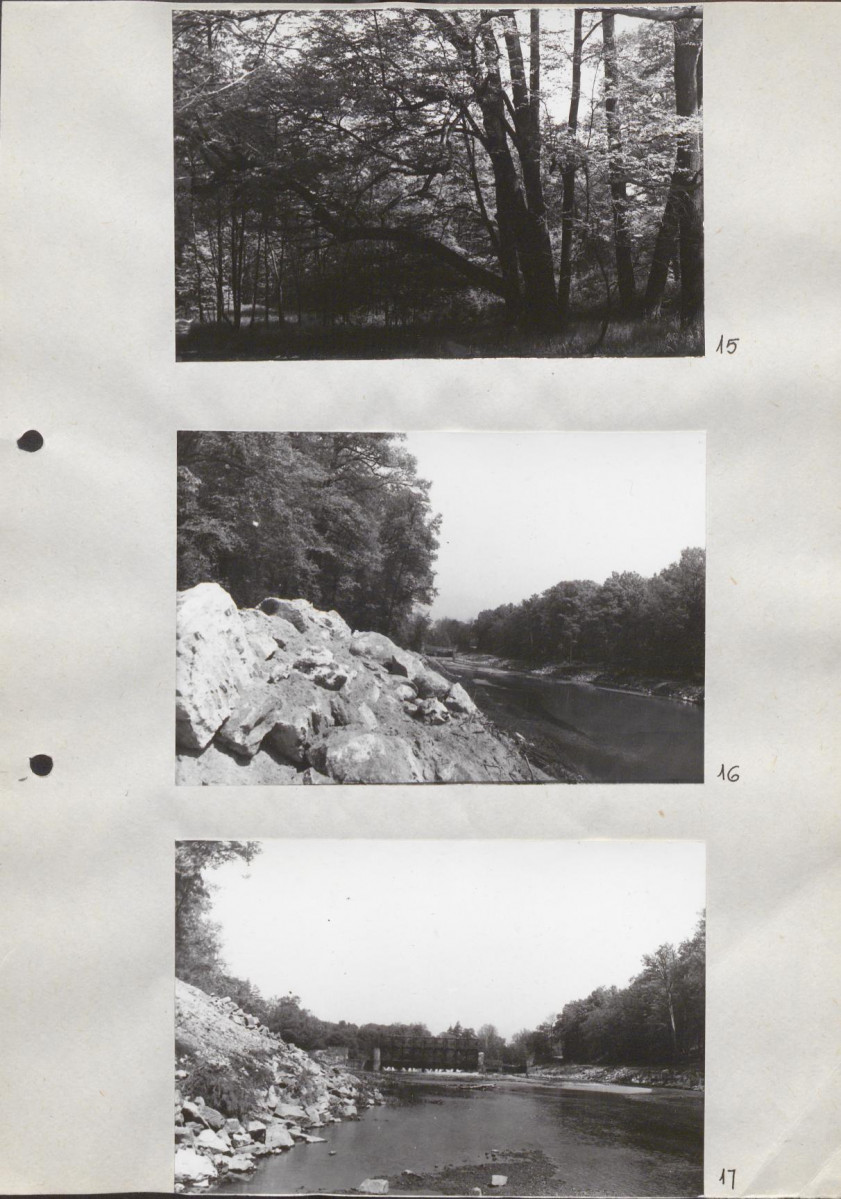 Ewidencja parkowa, skan nr 35