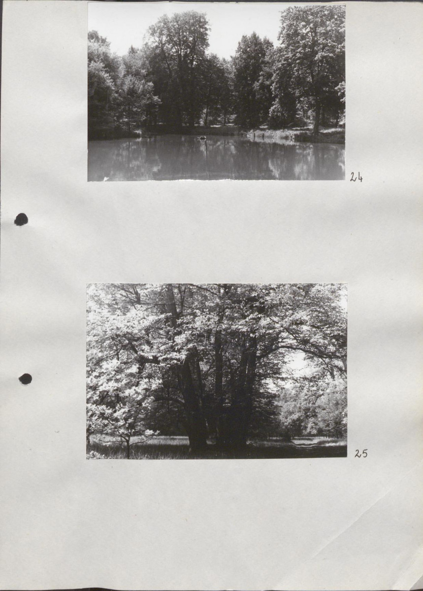 Ewidencja parkowa, skan nr 38