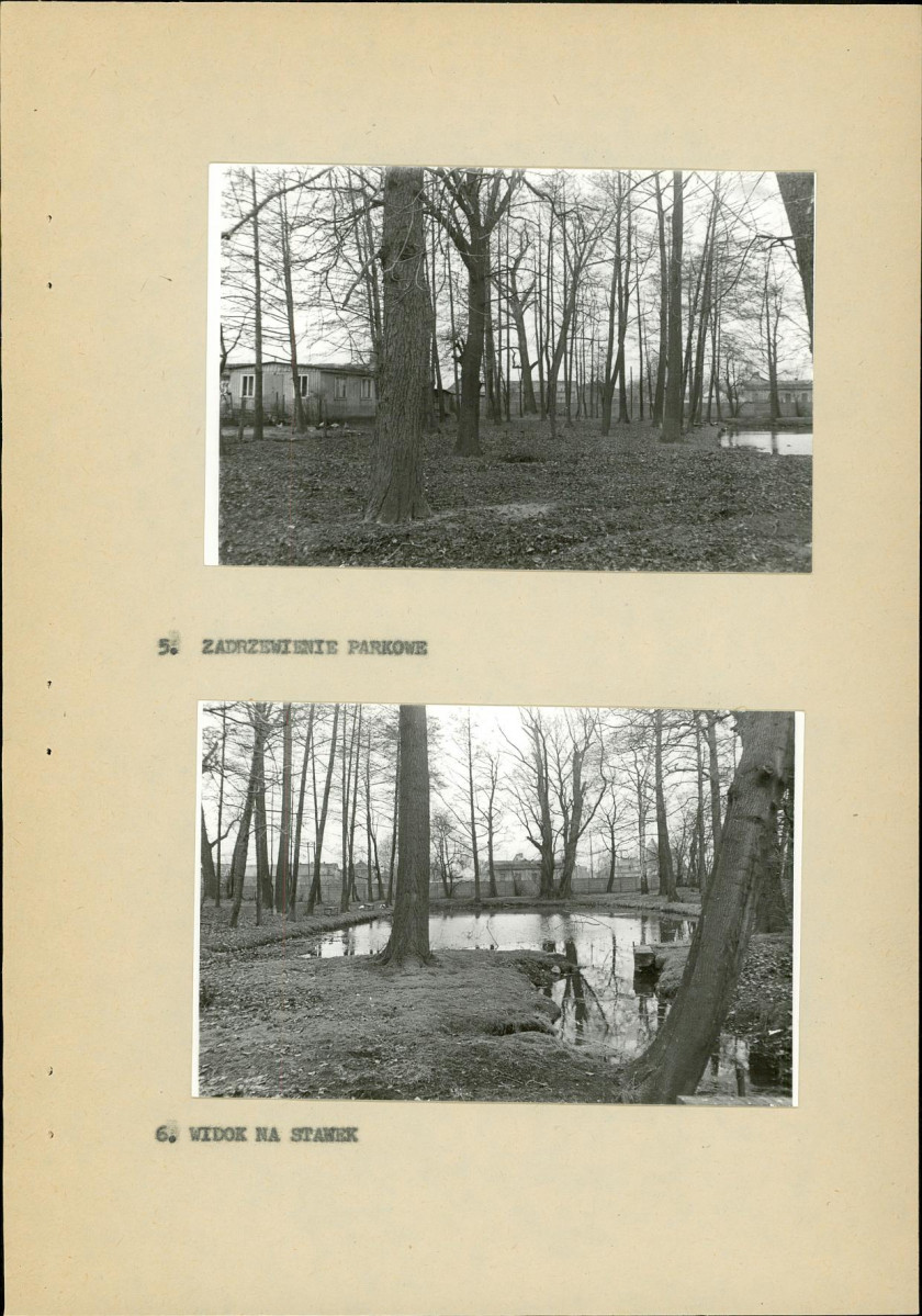 Ewidencja parkowa, skan nr 19