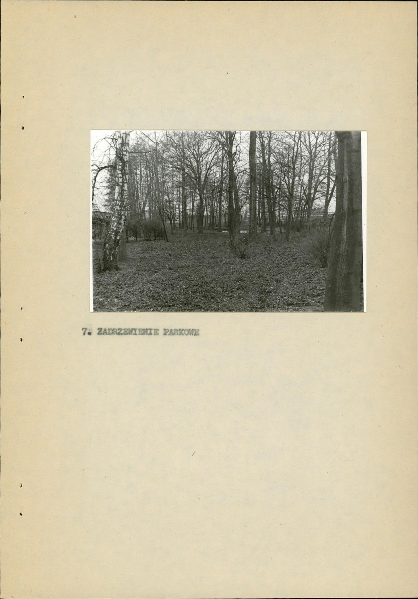 Ewidencja parkowa, skan nr 20
