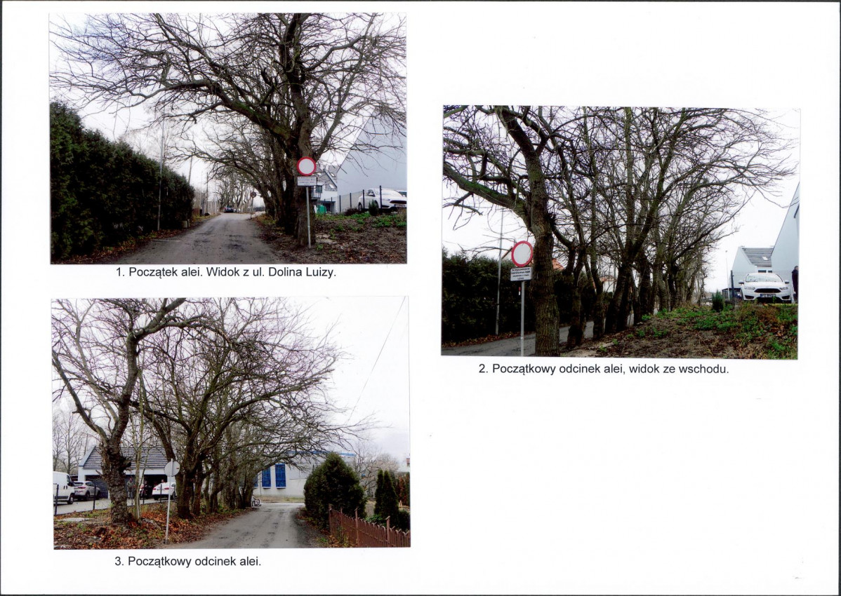 Karta biała, skan nr 6