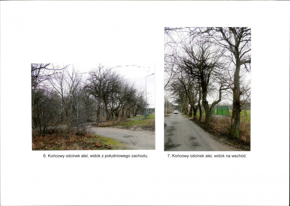 Karta biała, skan nr 8