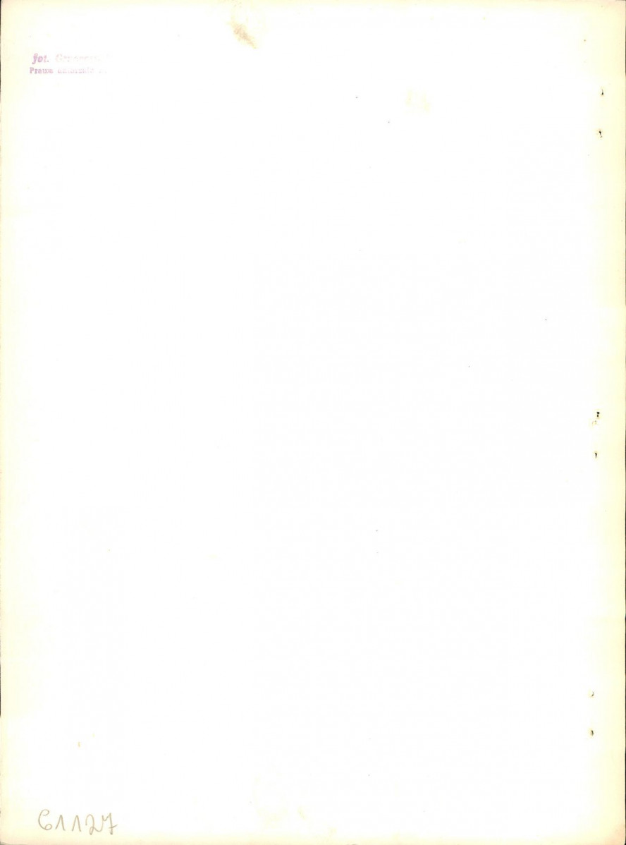 Ewidencja parkowa, skan nr 33