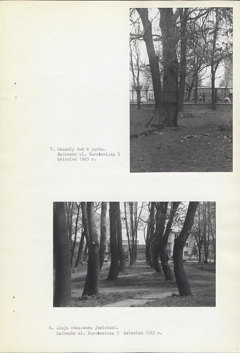 Ewidencja parkowa, skan nr 20