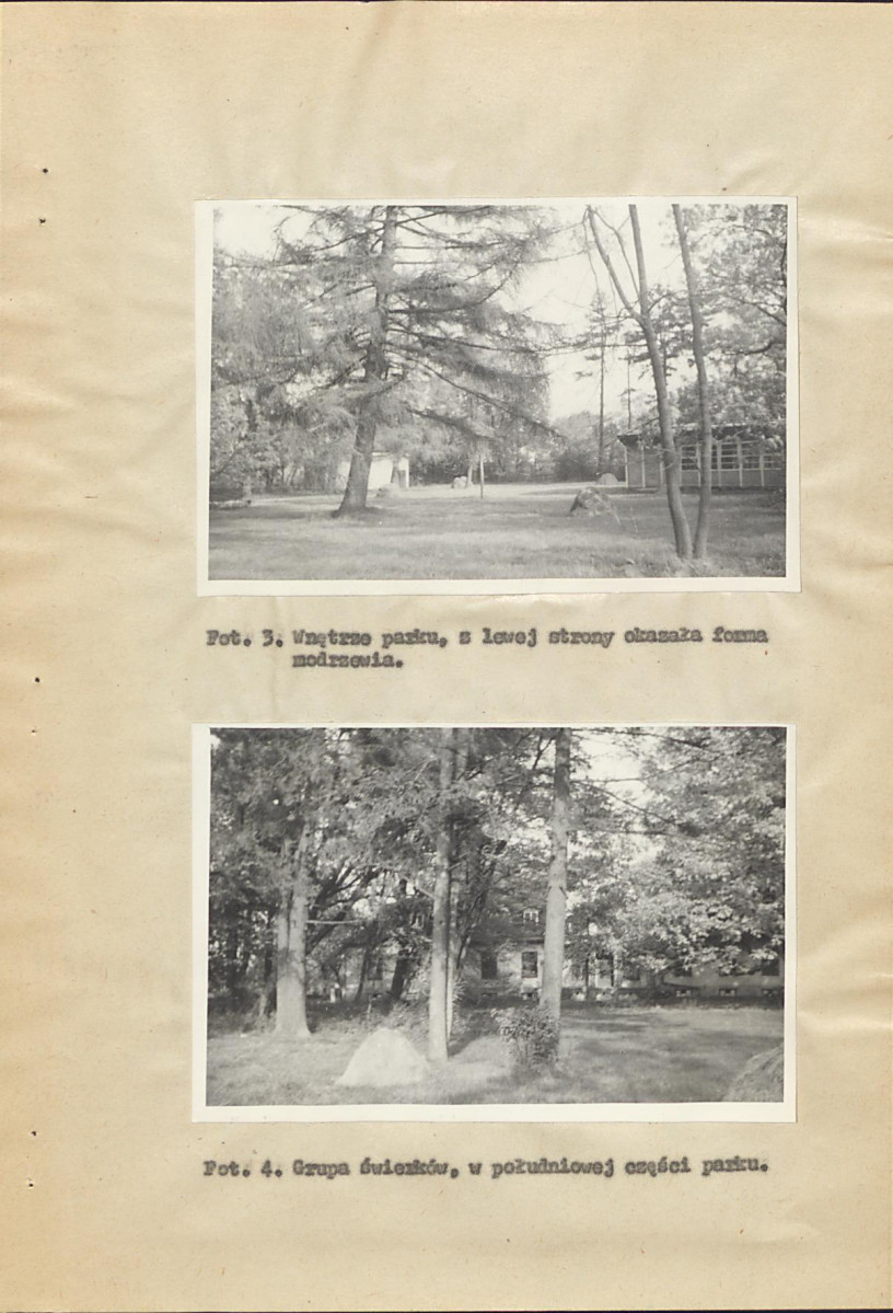 Ewidencja parkowa, skan nr 21