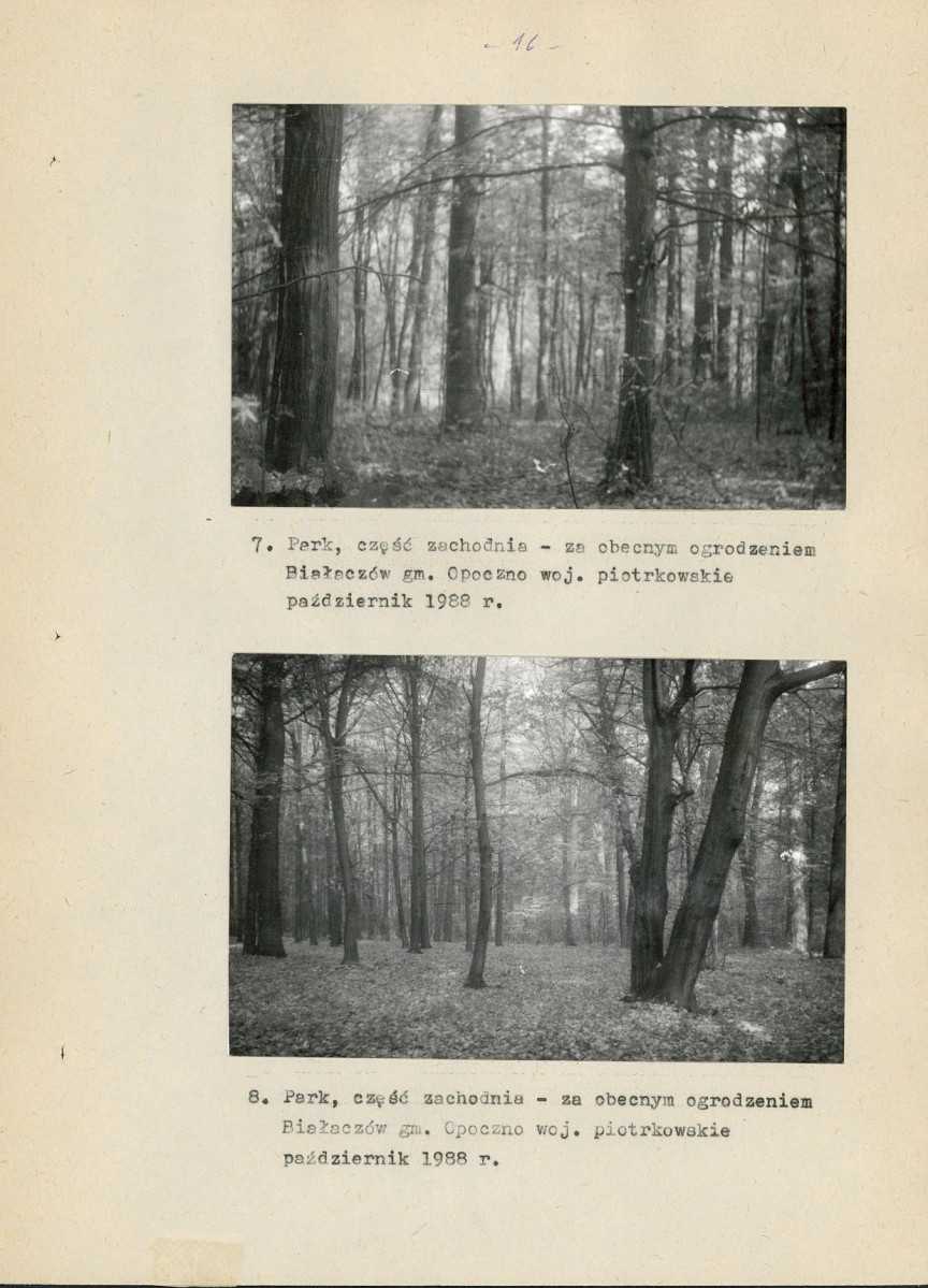 Ewidencja parkowa, skan nr 31