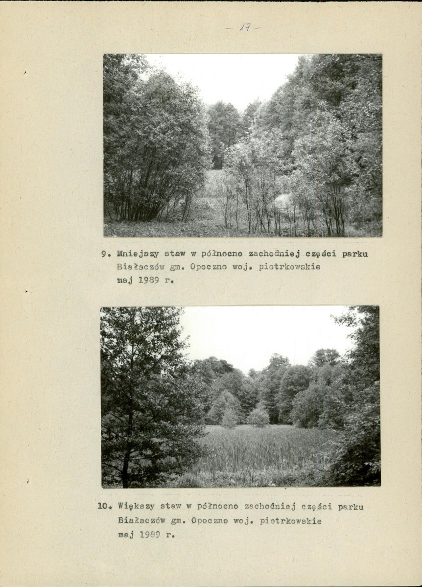Ewidencja parkowa, skan nr 32