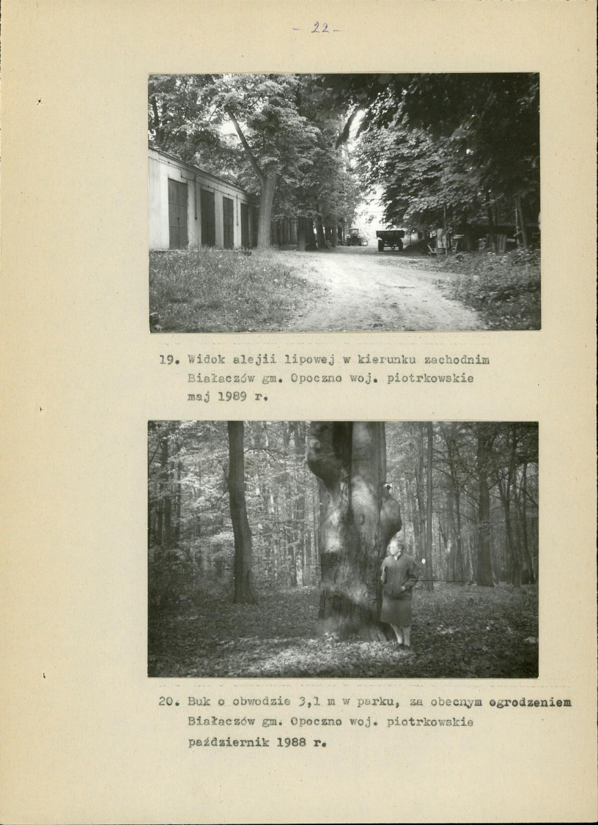 Ewidencja parkowa, skan nr 37