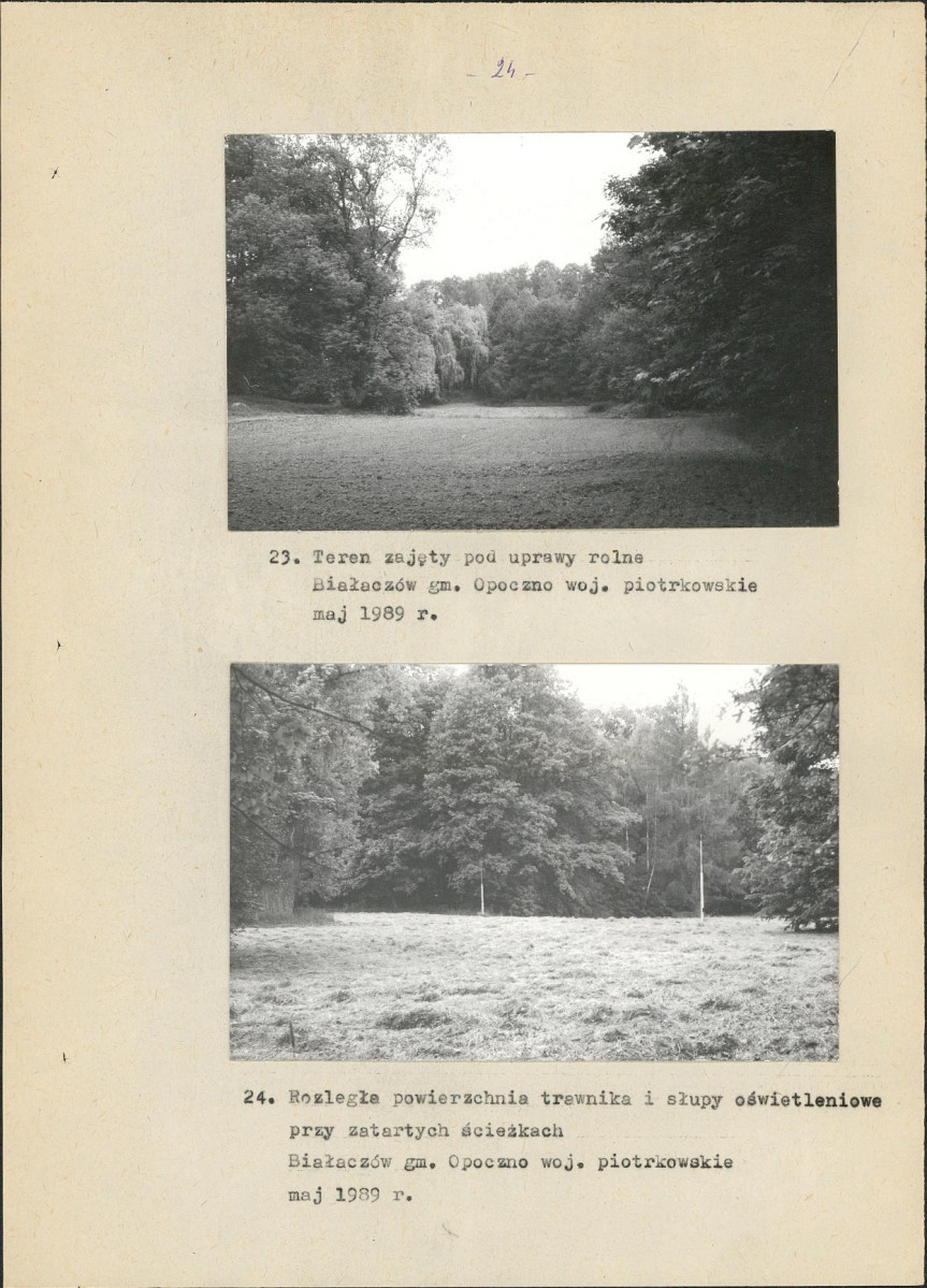 Ewidencja parkowa, skan nr 39