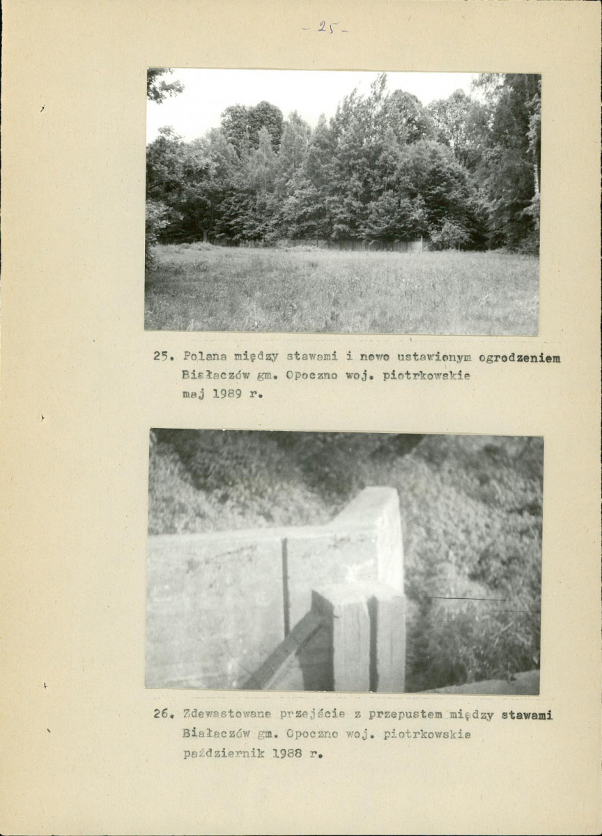 Ewidencja parkowa, skan nr 40