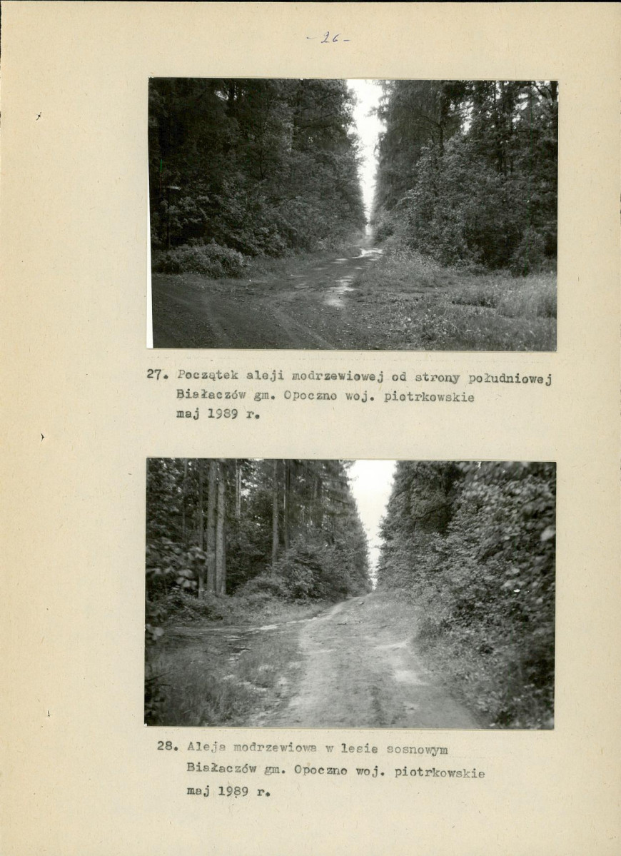 Ewidencja parkowa, skan nr 41