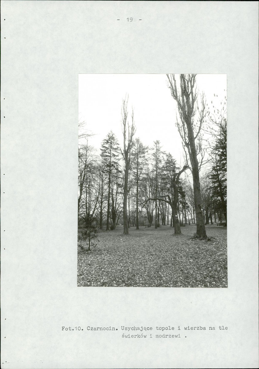 EP - Ewidencja parkowa, skan nr 26
