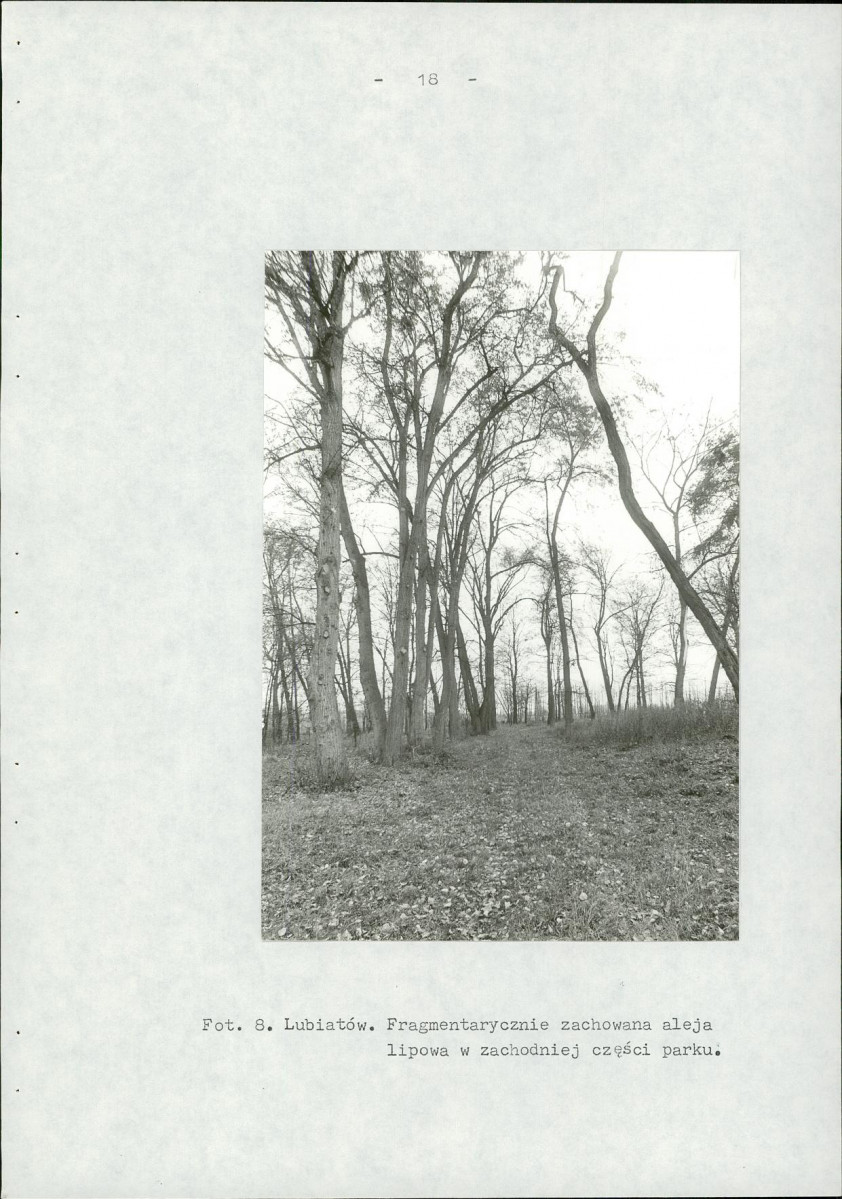 EP - Ewidencja parkowa, skan nr 26