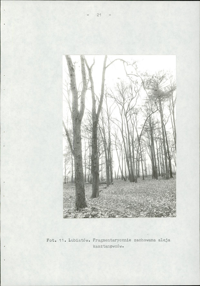EP - Ewidencja parkowa, skan nr 29