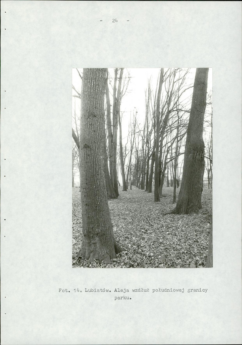 EP - Ewidencja parkowa, skan nr 32