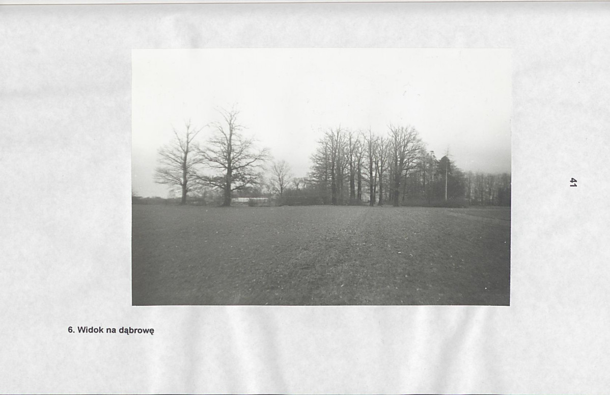 EP - Ewidencja parkowa, skan nr 49