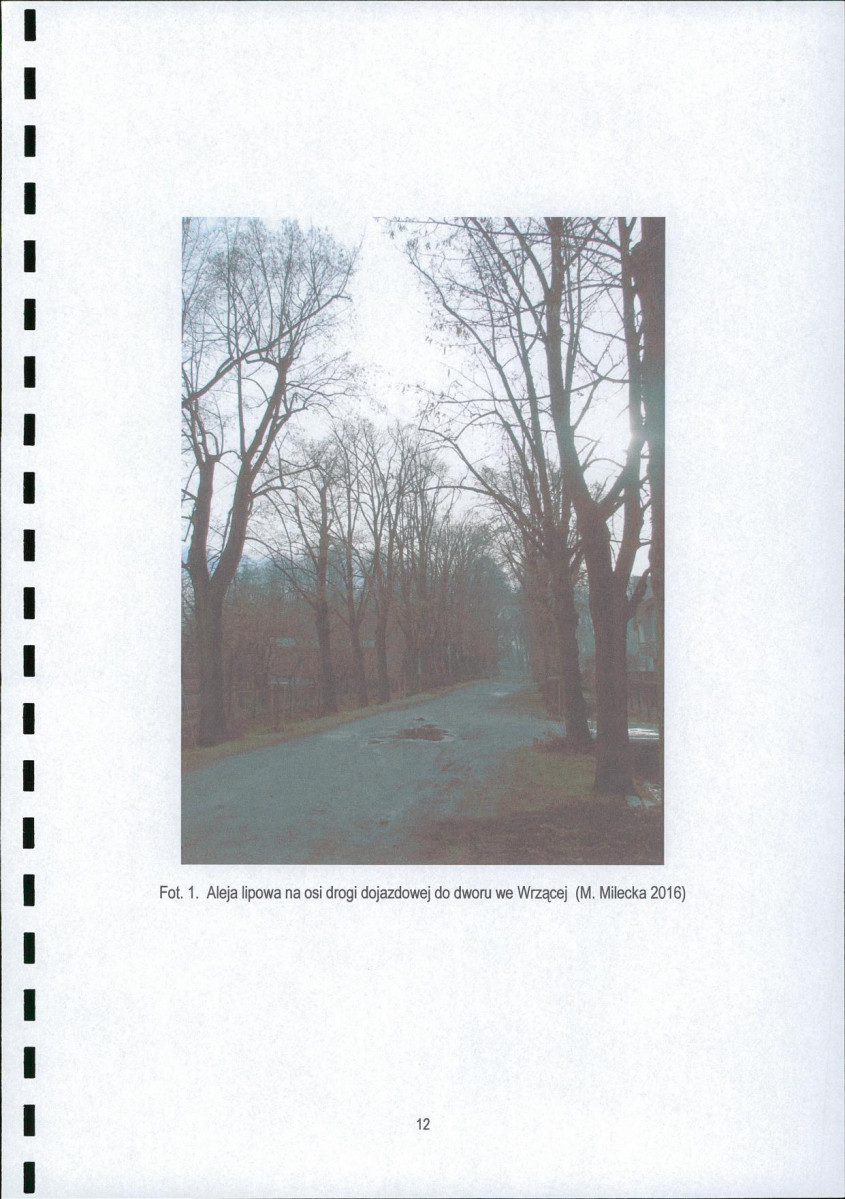 EP - Ewidencja parkowa, skan nr 14