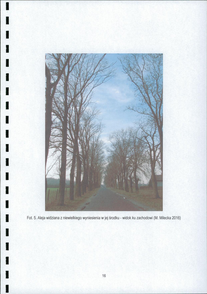 EP - Ewidencja parkowa, skan nr 18