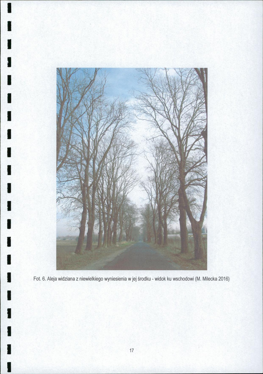 EP - Ewidencja parkowa, skan nr 19
