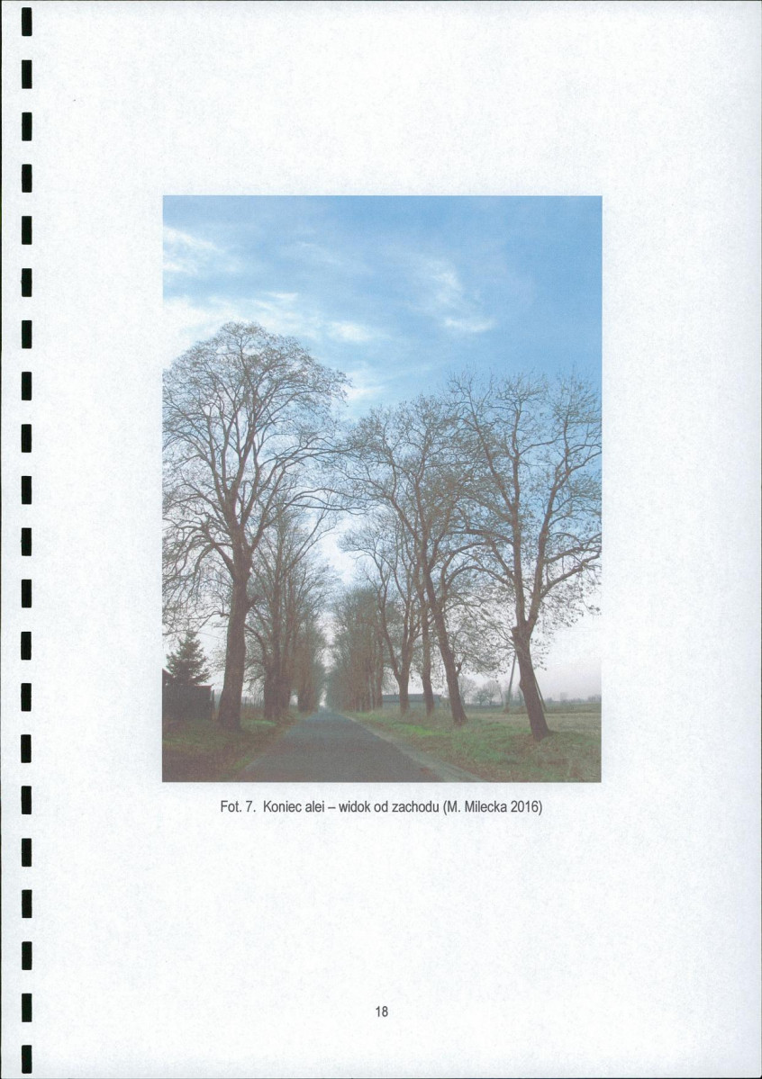 EP - Ewidencja parkowa, skan nr 20
