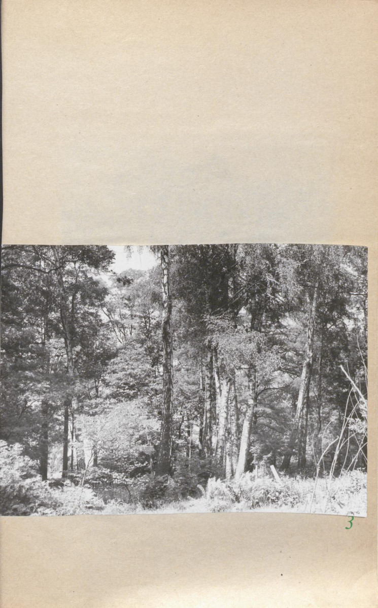 Ewidencja parkowa, skan nr 24