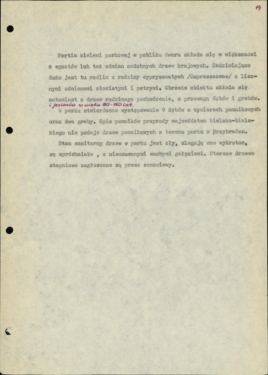 Ewidencja parkowa, skan nr 23