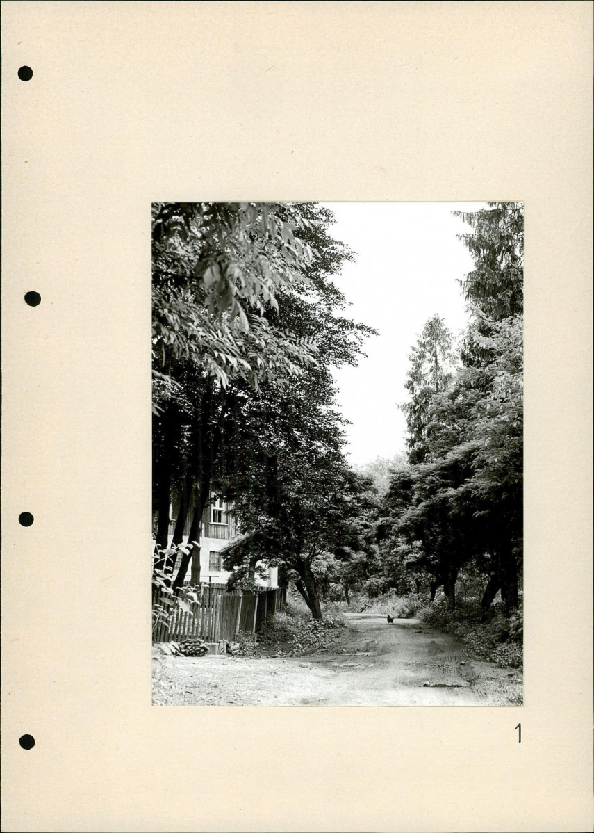 Ewidencja parkowa, skan nr 27