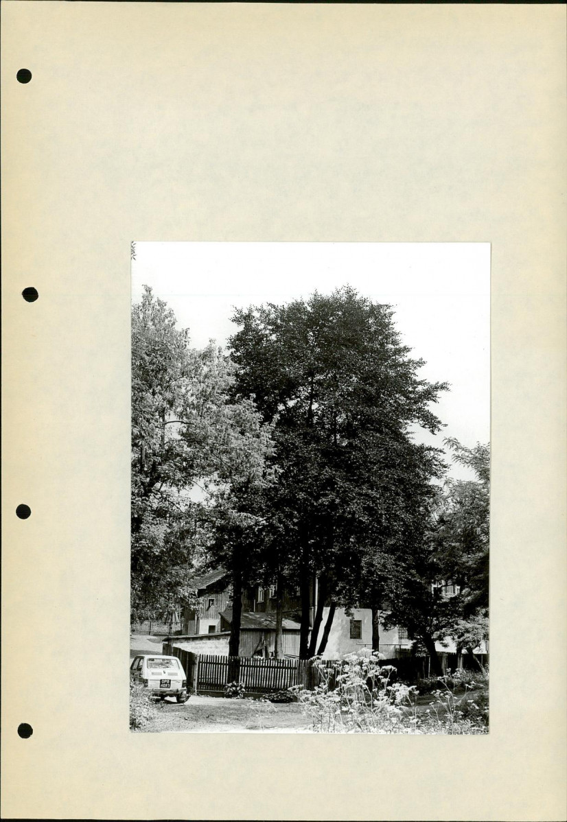 Ewidencja parkowa, skan nr 30