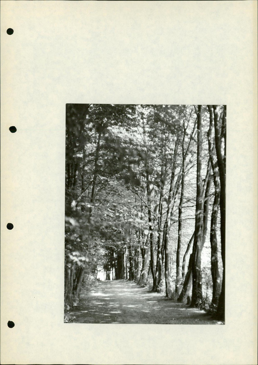 Ewidencja parkowa, skan nr 31