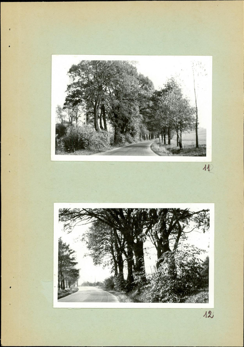 EP - Ewidencja parkowa, skan nr 19