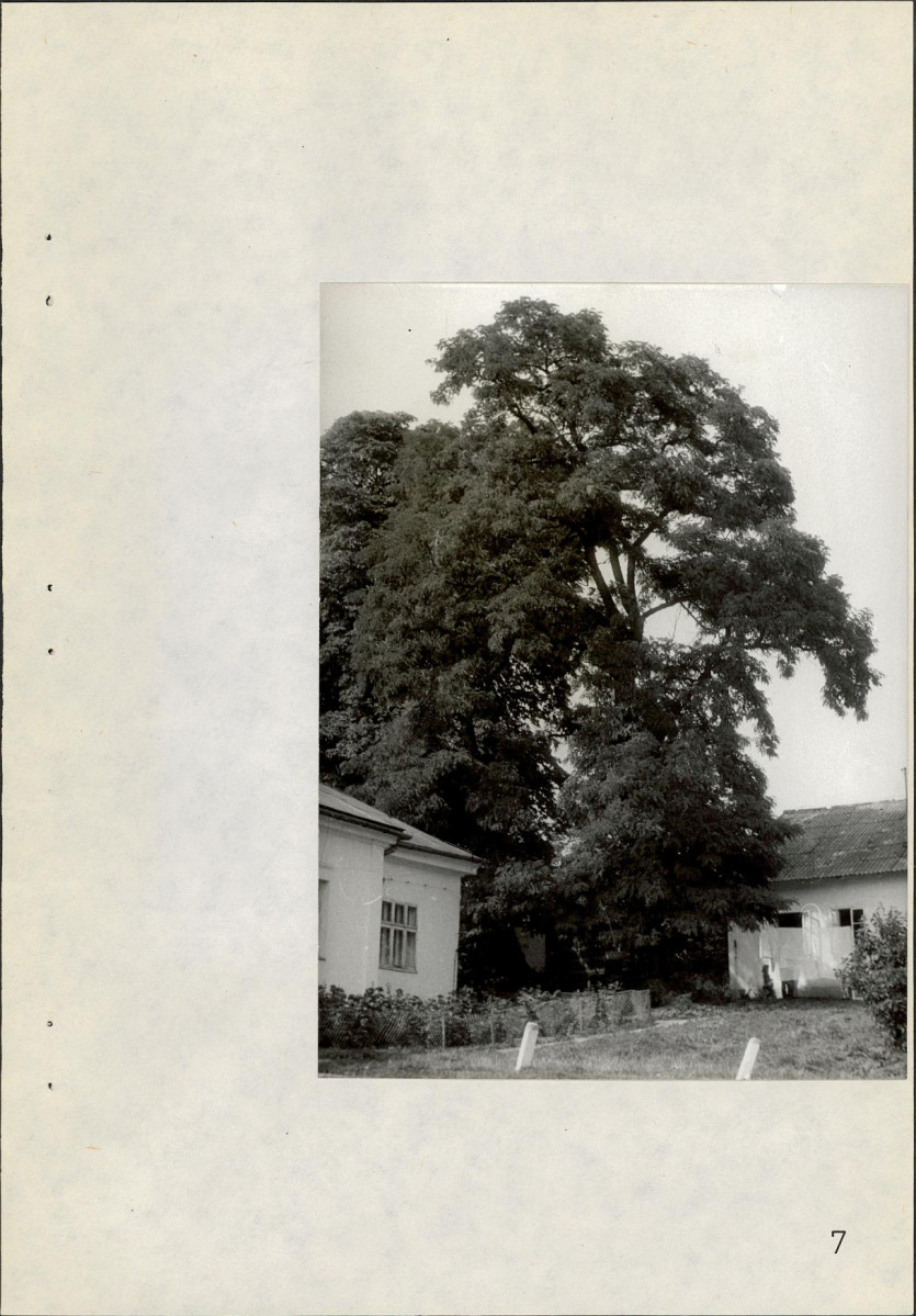 EP - Ewidencja parkowa, skan nr 34