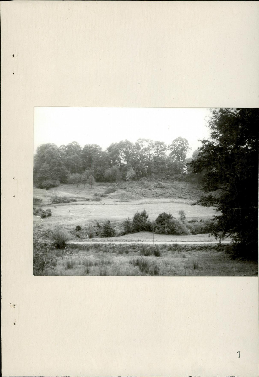 Ewidencja parkowa, skan nr 23