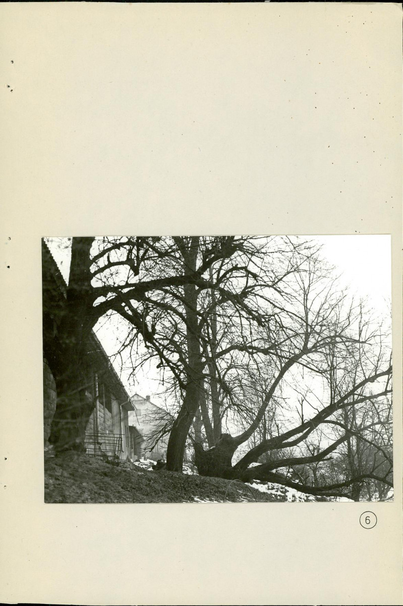 Ewidencja parkowa, skan nr 32